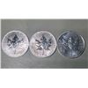 Image 1 : Lot of 3 - 2013 $5 Canadian Maple, 1oz, 0.999 Fine Silver Rounds