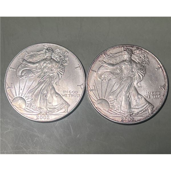 Pair of 2002 $1 American 1oz, 0.999 Pure Silver Eagle Rounds