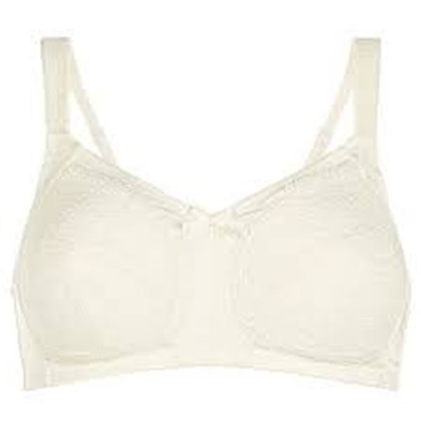 NEW W BOX AMOENA 38D WHITE BRA