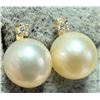 Image 1 : 14K PEARL LAB DIAMOND (0.03CT) EARRINGS