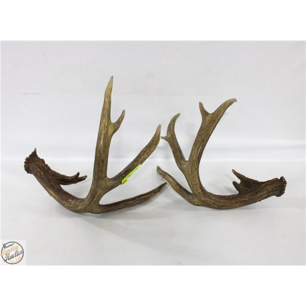 PAIR OF 6 & 7 POINT ANTLER SHEDS