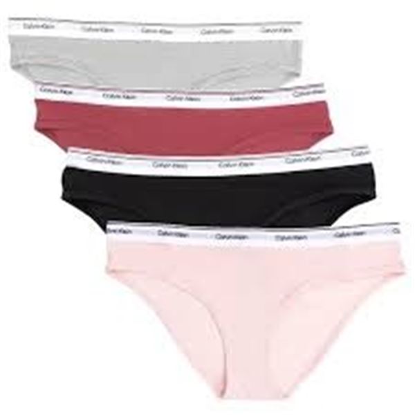 NEW CALVIN KLEIN 4PK UNDERWEAR BIKINI SMALL