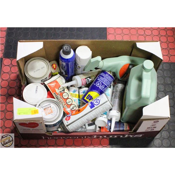 BOX OF SILICONES, PAINTS AND GROUT SEALER