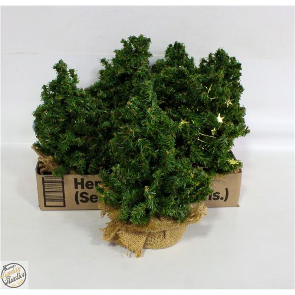 EIGHT 11" TREES IN BURLAP