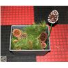 Image 1 : PINE CONES & MORE