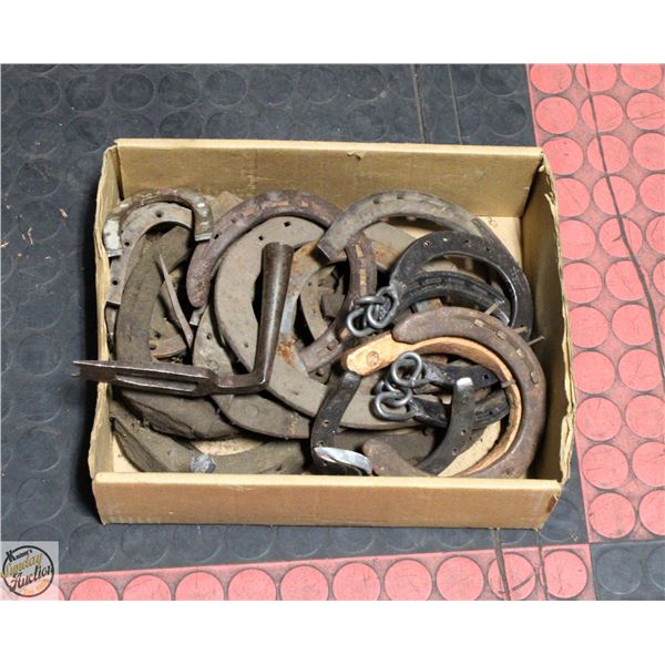 LOT OF VARIOUS SIZES HORSESHOES