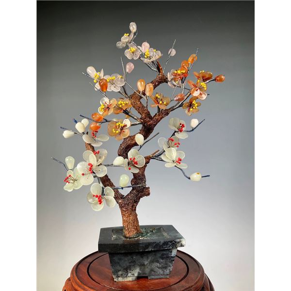 Jade Plum Blossom Bonsai