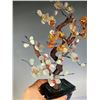 Image 3 : Jade Plum Blossom Bonsai