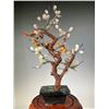 Image 5 : Jade Plum Blossom Bonsai