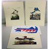 Image 1 : LOT OF 4 VINTAGE WILDLIFE PRINTS - Incl. Ducks, Bi