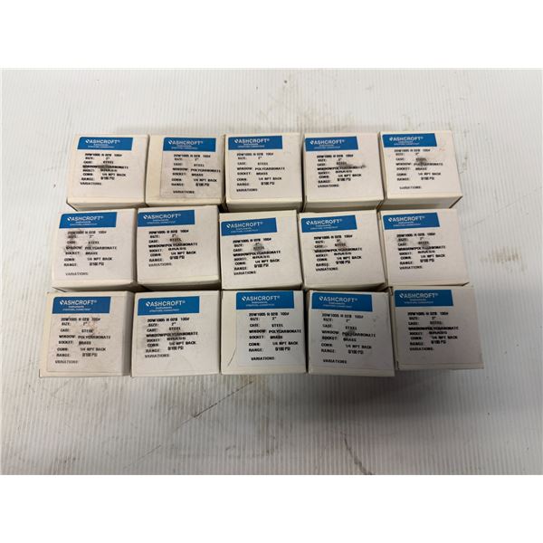 (15) ASHCROFT Instruments #20W 1005 H 02B