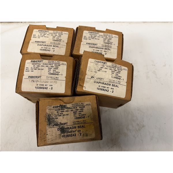 (5) ASHCROFT #25-1009-AWL-02L -100#-XCG Gauges