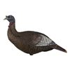 Image 1 : Flextone Thunder Chick Upright Hen Turkey Decoy Sku FLX-FLXDY315