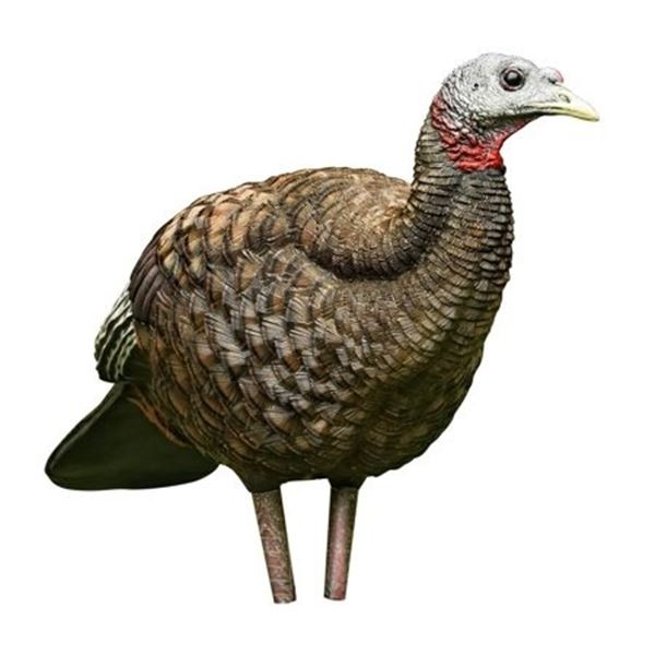 Avian-X LCD Collapsible Breeder Hen Turkey Decoy Sku AVX8008