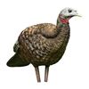 Image 1 : Avian-X LCD Collapsible Breeder Hen Turkey Decoy Sku AVX8008