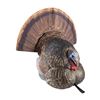 Image 1 : Avian-X LCD Tom Strutter Turkey Decoy Sku AVX-AVX8004