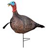 Image 1 : Primos Photoform Jake Turkey Decoy Sku 69069