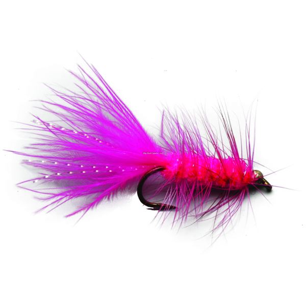 Superfly FLY6406-08P Salmon BH Wooly Bugger Pink #08 Sku FLY6406-08P