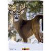 Image 1 : Nice Targets TNT Deer 3S0 Target 28" x 40" Sku 1083434300-156-4
