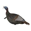 Image 1 : Flextone Thunder Jake 1/4 Strut Turkey Decoy Sku FLX-FLXDY317