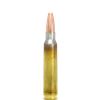 Image 1 : Lapua Naturalis 223 Rem 50 Grain (20 Rounds) Sku N315026