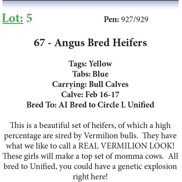 67 Bred Heifers Base Weight: 1050