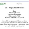 Image 1 : 55 Bred Heifers Base Weight: 1050