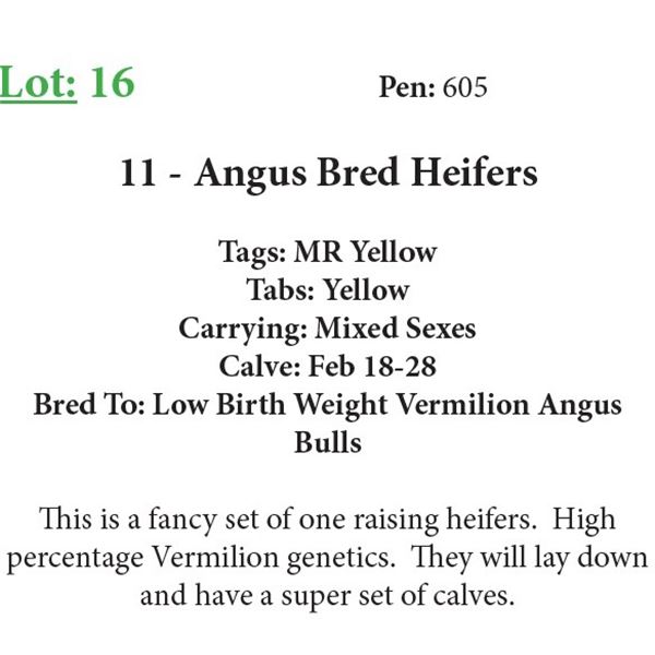 11 Bred Heifers Base Weight: 1050