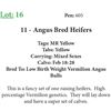 Image 1 : 11 Bred Heifers Base Weight: 1050
