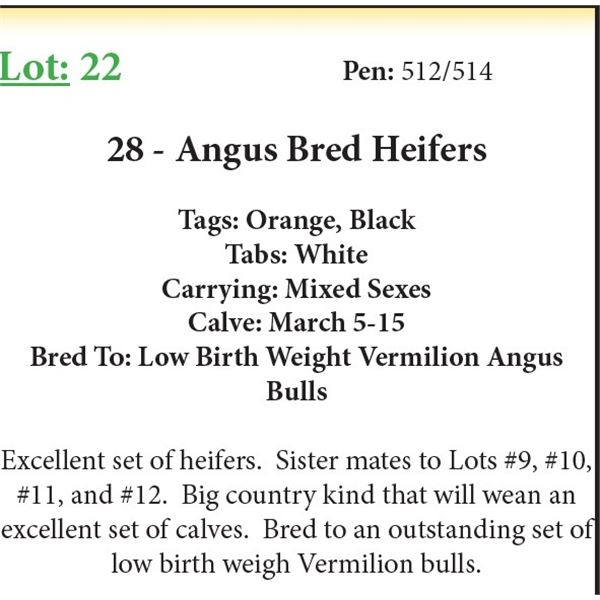 28 Bred Heifers Base Weight: 1050