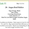 Image 1 : 28 Bred Heifers Base Weight: 1050