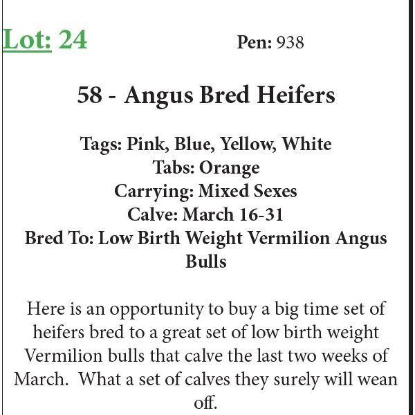 58 Bred Heifers Base Weight: 1050