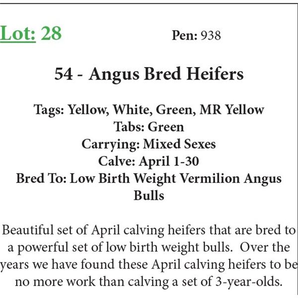 54 Bred Heifers Base Weight: 1050
