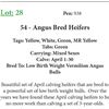 Image 1 : 54 Bred Heifers Base Weight: 1050