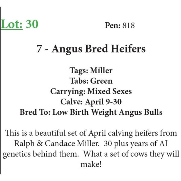 7 Bred Heifers Base Weight: 1050