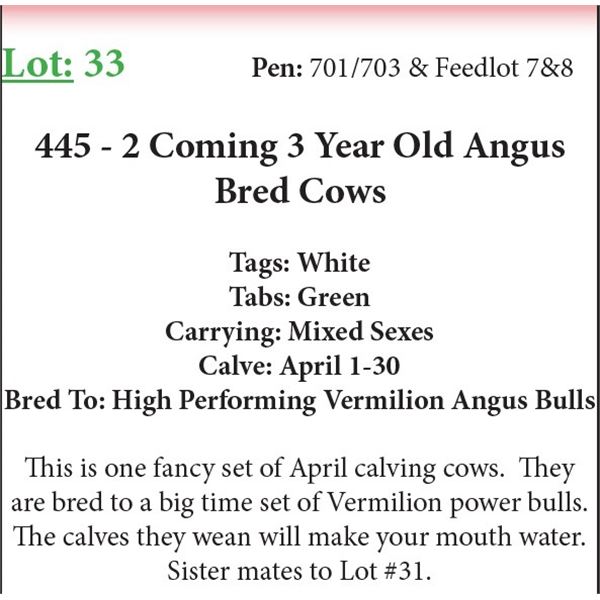 445 2 Coming 3 Yr Old Bred Cows Base Weight: 1100