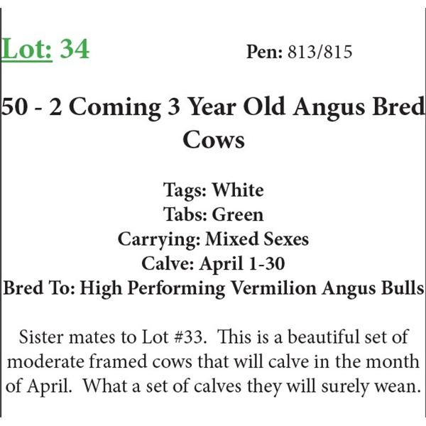 50 2 Coming 3 Yr Old Bred Cows Base Weight: 1100