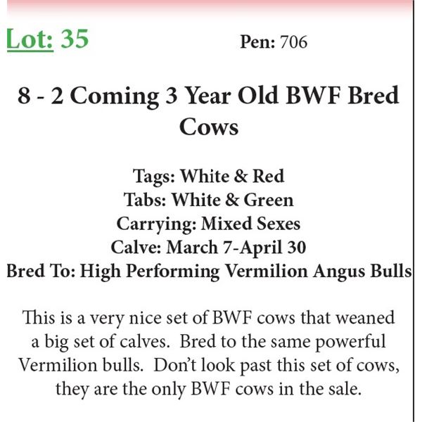 8 2 Coming 3 Yr Old Bred Cows Base Weight: 1100