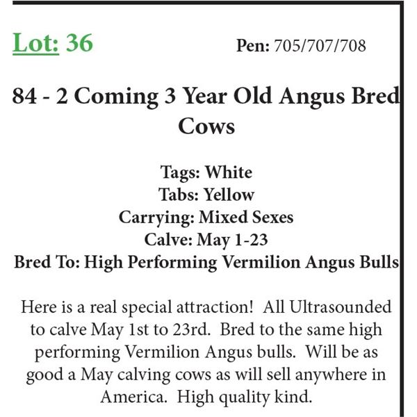 50 2 Coming 3 Yr Old Bred Cows Base Weight: 1100