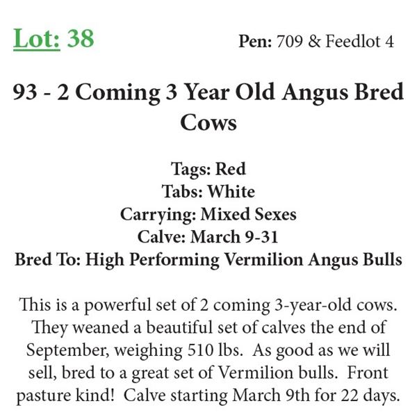 93 2 Coming 3 Yr Old Bred Cows Base Weight: 1100