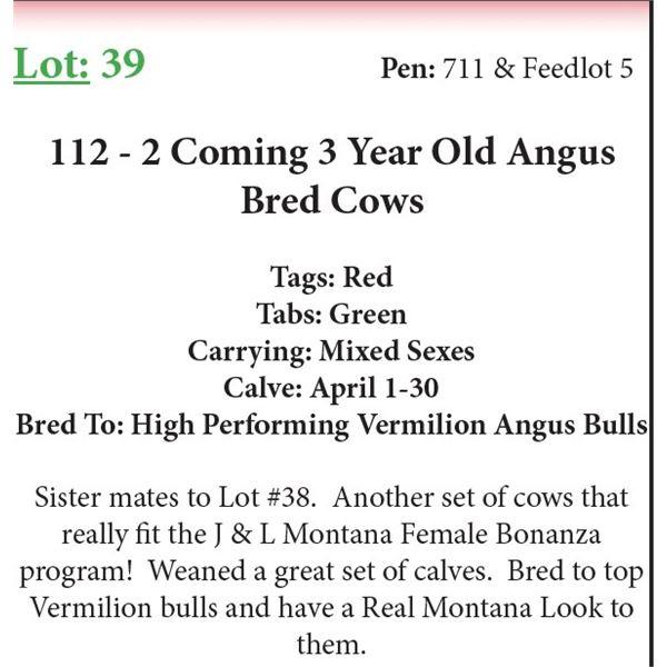112 2 Coming 3 Yr Old Bred Cows Base Weight: 1100