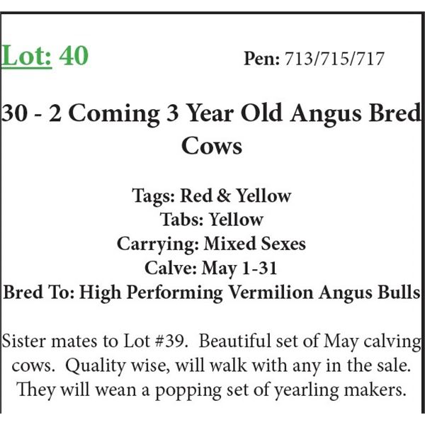 30 2 Coming 3 Yr Old Bred Cows Base Weight: 1100