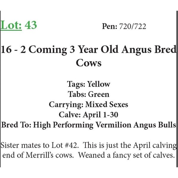 16 2 Coming 3 Yr Old Bred Cows Base Weight: 1100
