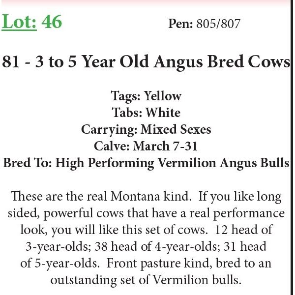 81 3-5 Yr Old Bred Cows Base Weight: 1300