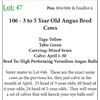Image 1 : 106 3-5 Yr Old Bred Cows Base Weight: 1300