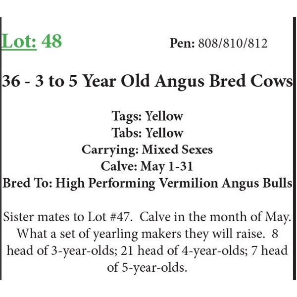 36 3-5 Yr Old Bred Cows Base Weight: 1300