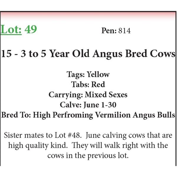 15 3-5 Yr Old Bred Cows Base Weight: 1300
