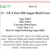 Image 1 : 13 3 & 4 Yr Old Bred Cows Base Weight: 1300
