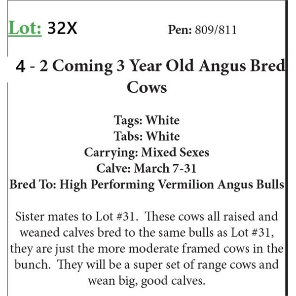 4 - 2 Coming 3 Yr Old Bred Cows Base Weight: 1100 (Small Blemish)
