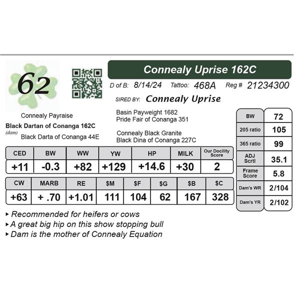 Connealy Uprise 162C